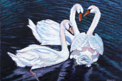 3-Swans