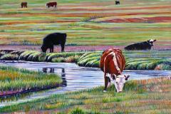 Cows-peacfully-grazing-near-creek
