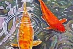 Yellow-Orange-Koi-Fish