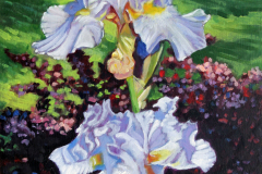 2-light-blue-iris