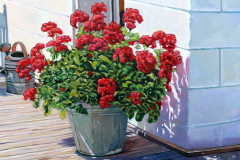 Bright-Red-Flowers-in-Bucket