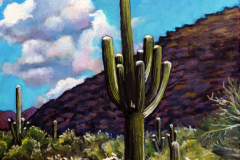 Arizona-Cactus