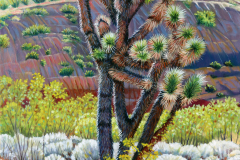 Cactus-and-sage-brush
