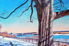 Oak-Tree-Park-Winter-Scene