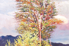 large-yellow-brush-and-tree-reworked