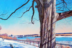 oak-tree-river-overlook-winter-scene