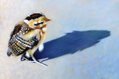 Baby-Chick-with-blue-shadow