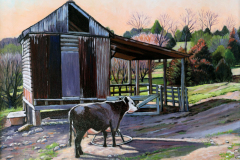 Cow-ready-fopr-mornign-feeding