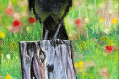 Crow-on-old-fence-post