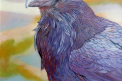 Rainbow-Raven