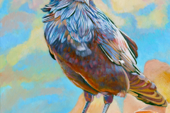 Raven