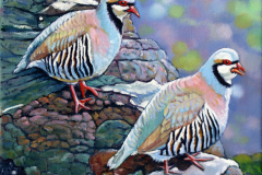 Two-Birds-On-Cliff