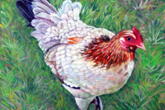 Young-Hen