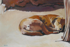 olddog
