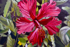 Red-Exotice-Flower-2-Cnacun