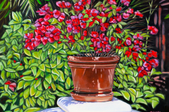 Red-Flowers-in-Clay-Pot