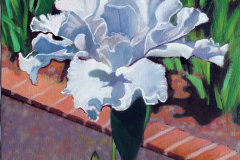 White-Irs-with-brick-path