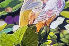 Yellow-white-irs
