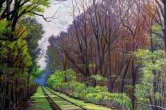 Abandoned-Railroad-Track-Weingarten-MO-large