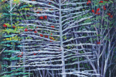 Bare-Cedar-in-woods-with-Red-Flowers