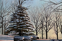 Buckcreek-Evergreen-Driveway-Snow-scene-3