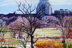 Fall-Park-View-with-Chase