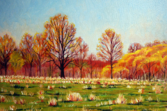 Fall-Pasture
