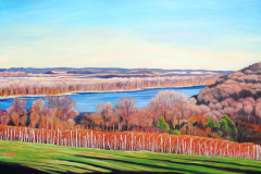 Glenn-Oak-Vineyard-River-Scene