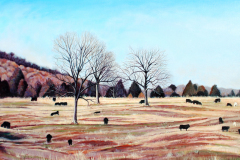 Hillside-fall-pasture-with-cows