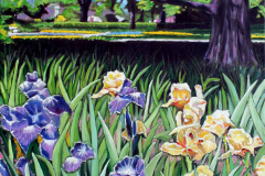 Iris-and-big-oak-tree