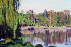 Lake-at-Boat-House-forest-Park