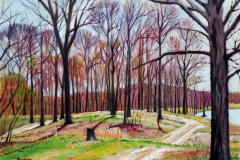 Lake-woods