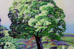 Large-Tree-along-blue-highway