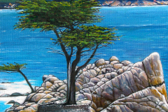 Lone-Tree-at-Pebble-Beach