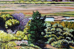 Marsh-with-Small-Evergreen