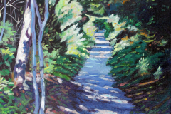 Nature-Trail-Path-1