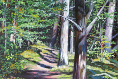 Nature-Trail-Path-2-