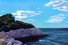 North-east-rocky-coast