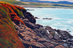 Organe-Flowers-on-Rocky-Beach1
