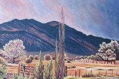 gate-and-brush-along-hiway2