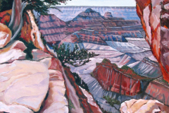 grand-canyon-view-with-tree