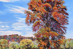 large-cedar-at-french-lick