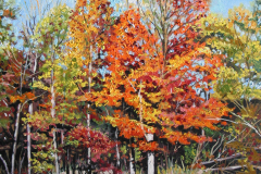 orange-tree-brown-county-park-indiana